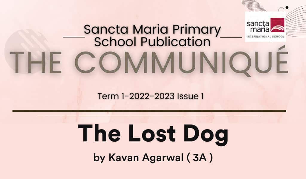 The Lost Dog Featured